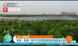 今日西湾公园爆料新闻报道,最新爆料揭示惊人真相