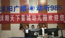 沭阳电视台爆料事件视频,真相揭露，舆论漩涡中的真相追踪